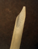 Turquey quill, model « Pompadour », downgraded (5 pieces)
