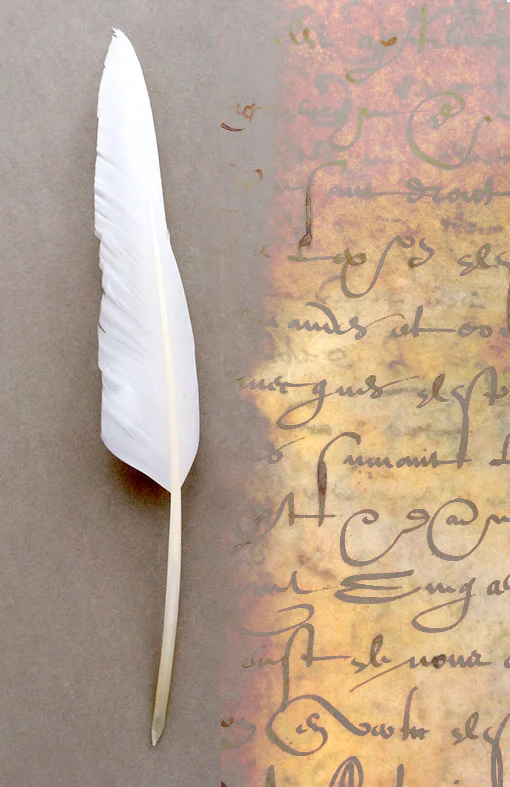 Buvard PA400 :  : articles calligraphie, écriture et  enluminure - plumes, encres, papiers