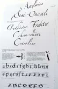 Kit de Calligraphie n°1 « Basic »